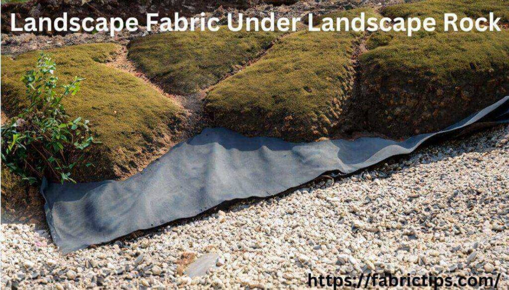 DIY Project, Pros, Cons Landscape Fabric Under Landscape Rock