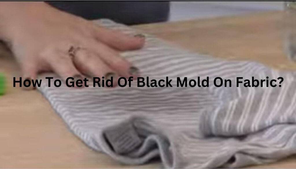 How To Get Rid Of Black Mold On Fabric