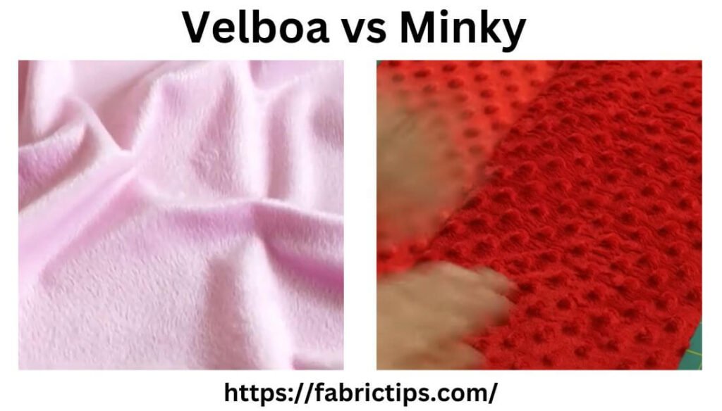 Velboa vs Minky