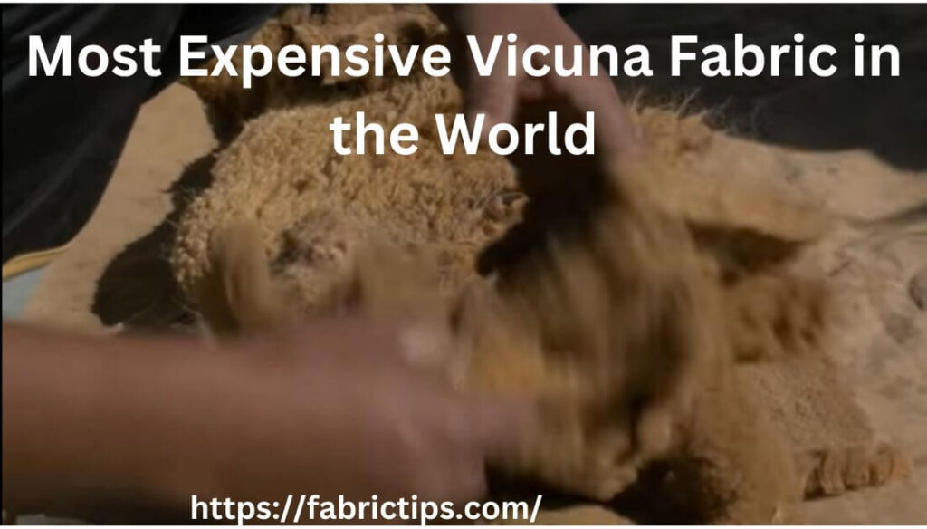 most expensive vicuna fabric