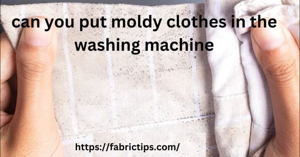 can you put moldy clothes in the washing machine