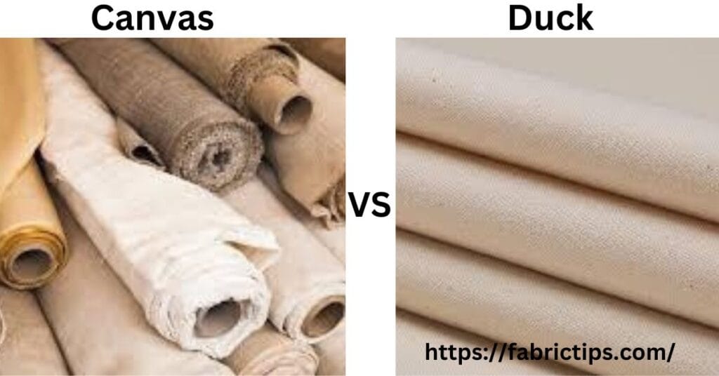 Canvas vs Duck